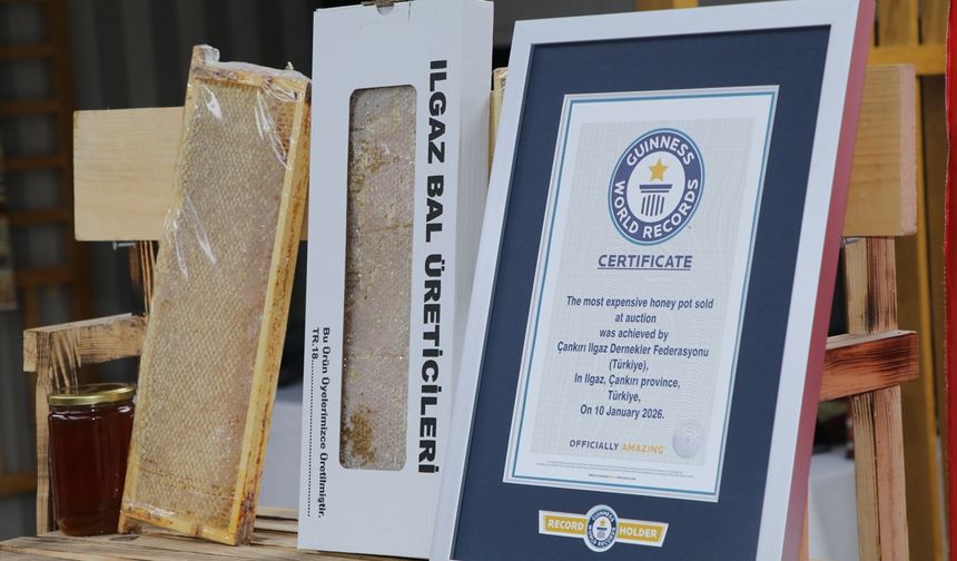 Öğrenince Şaşıracaksınız: Guinness Rekorlu Dünyanın En Pahalı Balı Hangi Ülkede?