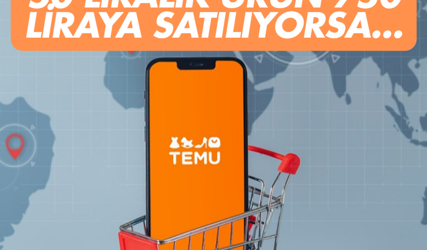 Cumhurbaşkanı Başdanışmanı: 50 liralık ürün 750 liraya satılıyorsa...