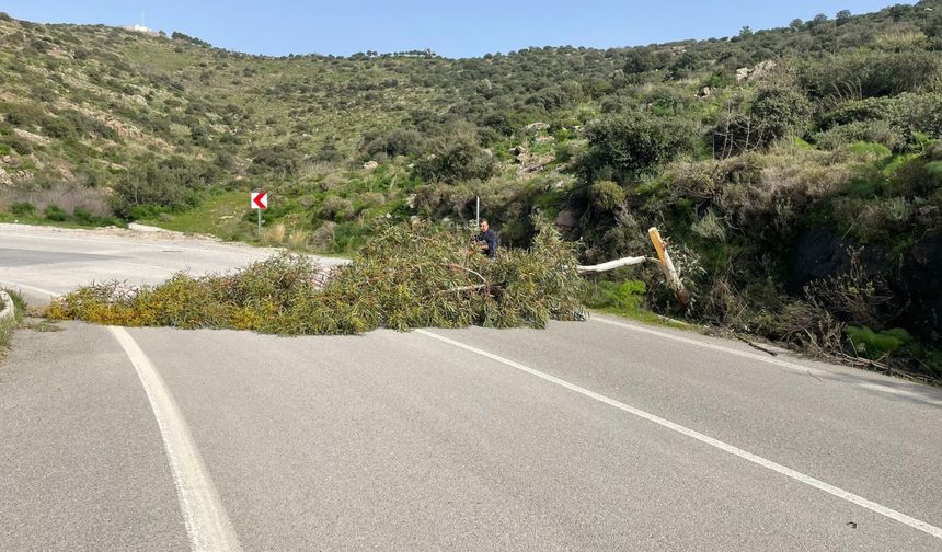 Muğla’da kuvvetli fırtına hayatı olumsuz etkiledi!