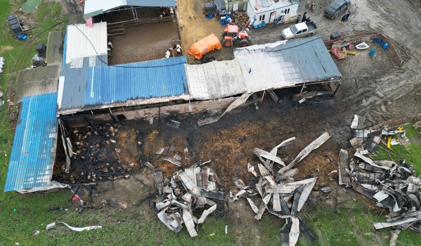 Çiftlik alevlere teslim: 60 hayvan telef oldu!