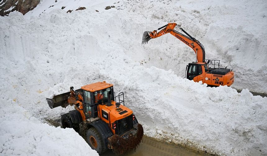 Van-Hakkari kara yolu çığ nedeniyle kapandı
