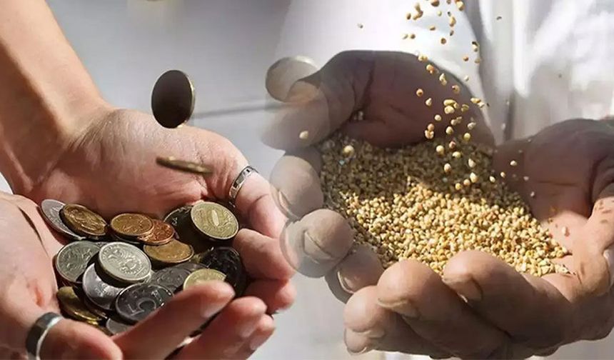 Fitre ve Zekata Dair Bilmeniz Gereken Her Şey 2026