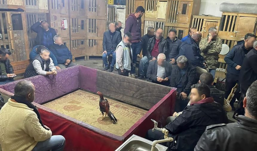 Horoz Dövüşü Operasyonu: 23 Kişiye Para Cezası