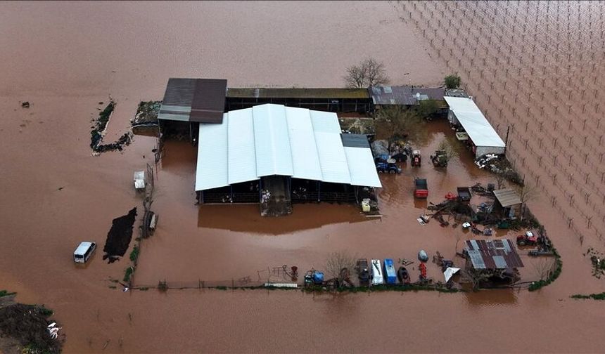Gediz Nehri taştı, tarım arazileri su altında kaldı