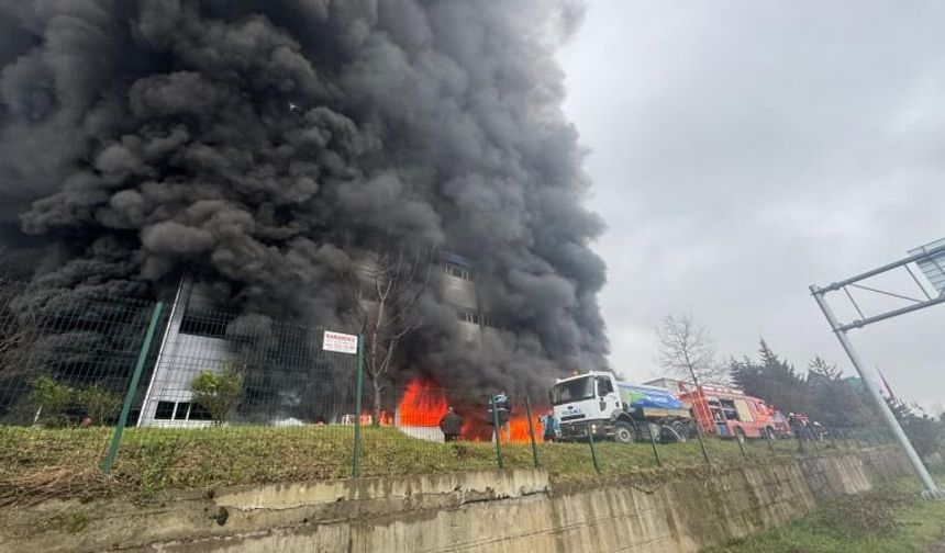 Fındık fabrikası deposunda yangın!