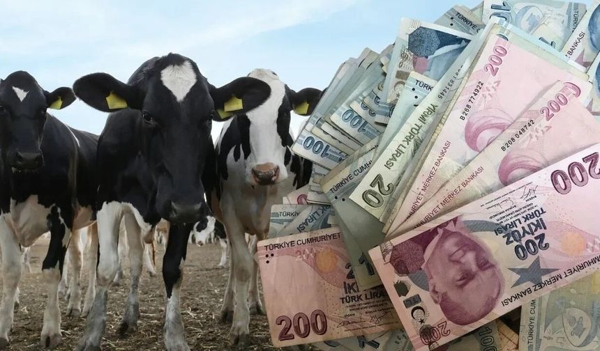 Vekalet yoluyla kurban kesim bedelleri belli oldu! İşte rakamlar...