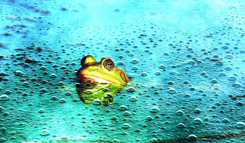 Uzmanlardan uyarı: Yapay zekâya güvenmek "Haşlanan kurbağa" etkisiyle zihinsel becerileri köreltiyor