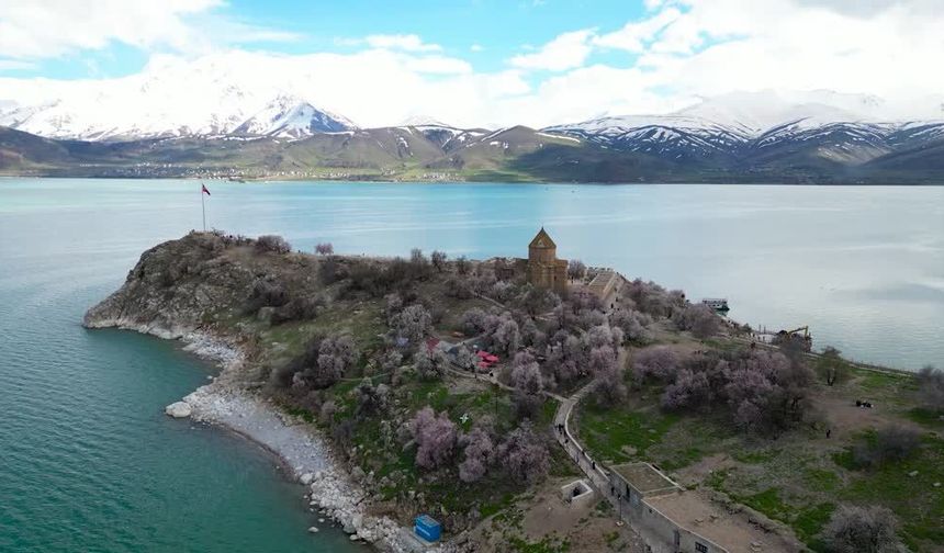 Akdamar adası bahar çiçekleriyle renklendi