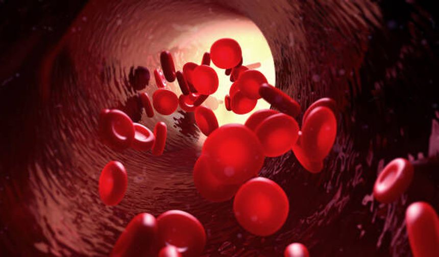HGB nedir? Hemoglobin neden yükselir? Hemoglobin değeri kaç olmalı?