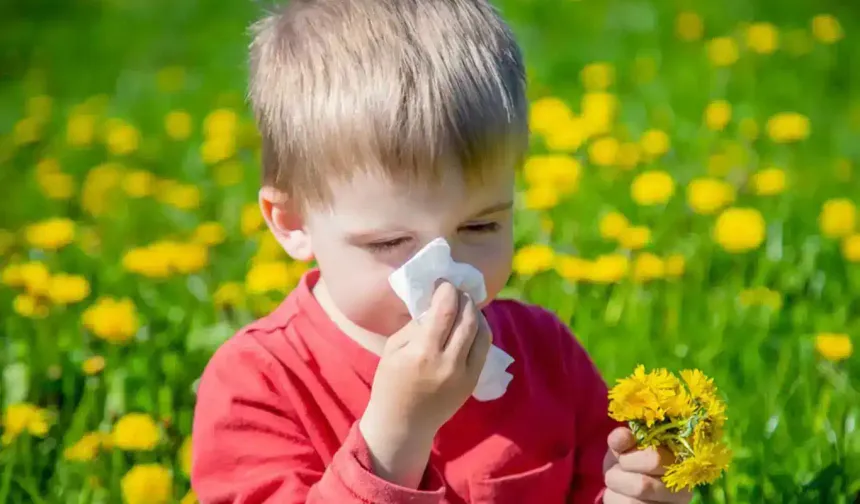 İklim değişikliği ve hava kirliliği alerjileri tetikliyor!