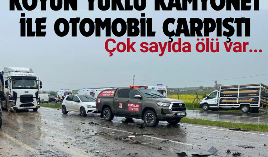 Koyun yüklü kamyonet ile otomobil çarpıştı: Çok sayıda ölü var