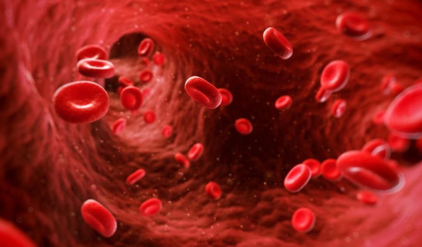 Hemofili hastaları için sağlık desteğinde yeni dönem