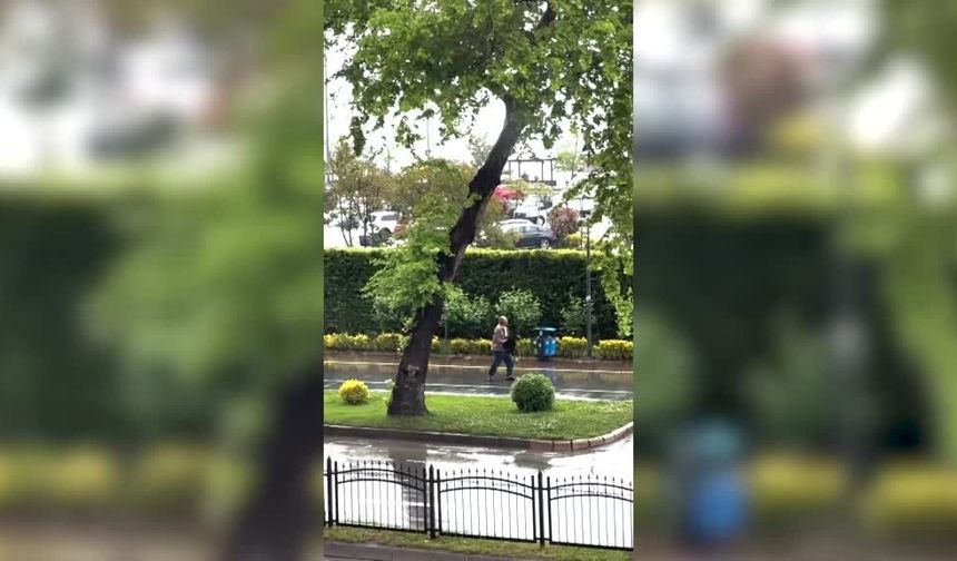 Pusuya yatan karga, yoldan geçen herkese saldırdı