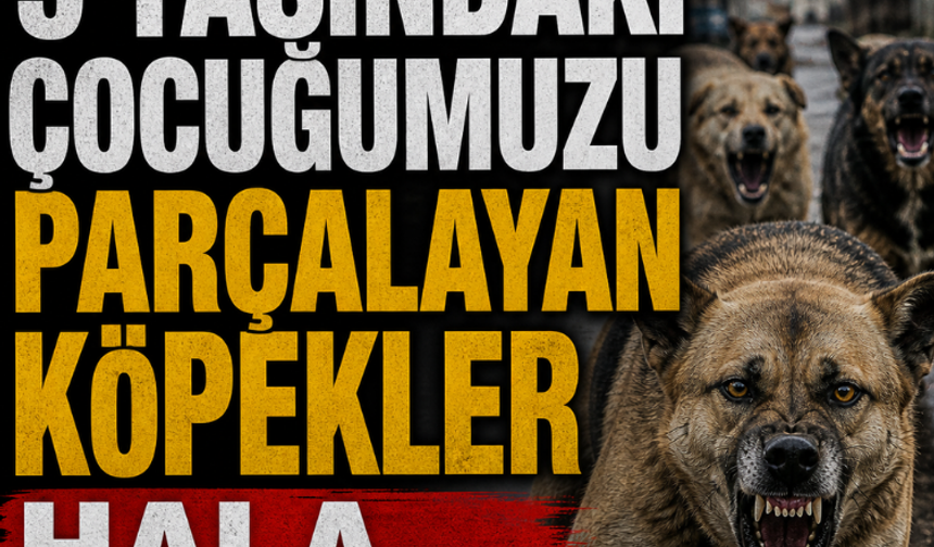 HÜDA PAR Van İl Başkanı: 5 yaşındaki çocuğumuzu parçalayan köpekler hala toplanmadı