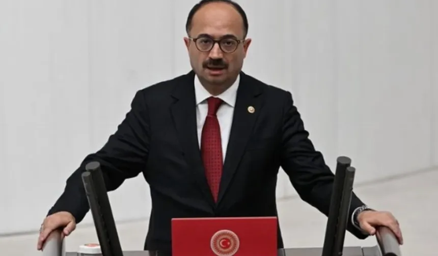 AK Partili vekil: Hayvansever değil, köpeksever denilmeli