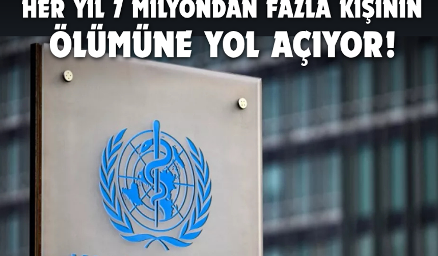 Aman dikkat: Her yıl 7 milyondan fazla kişinin ölümüne yol açıyor!