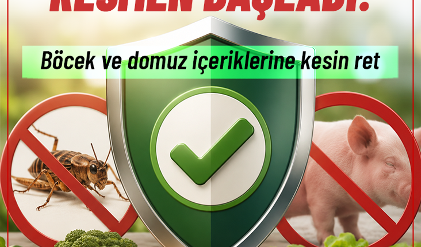 Gıdada yeni dönem resmen başladı: Böcek ve domuz içeriklerine kesin ret