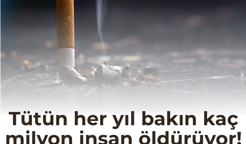 Tütün her yıl bakın kaç milyon insan öldürüyor! İşte şirketlerin yeni sinsi hedefi