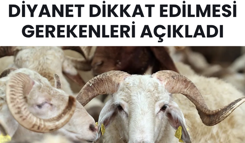 Kurbanlık seçerken nelere dikkat edilmeli? Diyanet dikkat edilmesi gerekenleri açıkladı
