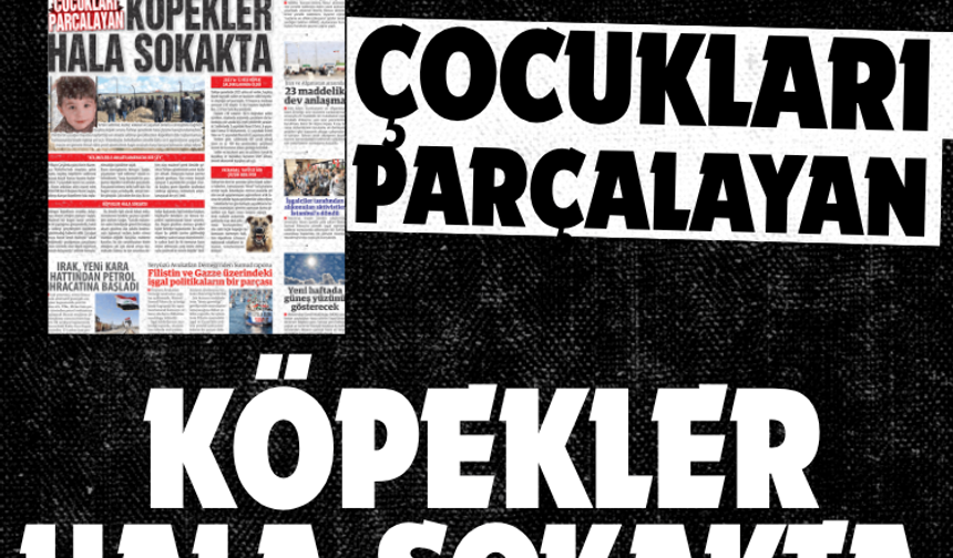 ÇOCUKLARI PARÇALAYAN KÖPEKLER HALA SOKAKTA