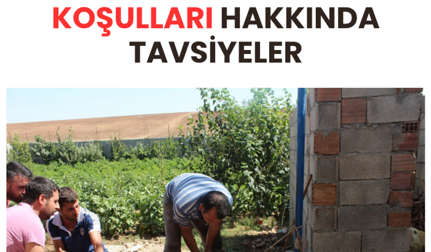 Uzmanlardan kurban kesimi ve eti saklama koşulları hakkında tavsiyeler