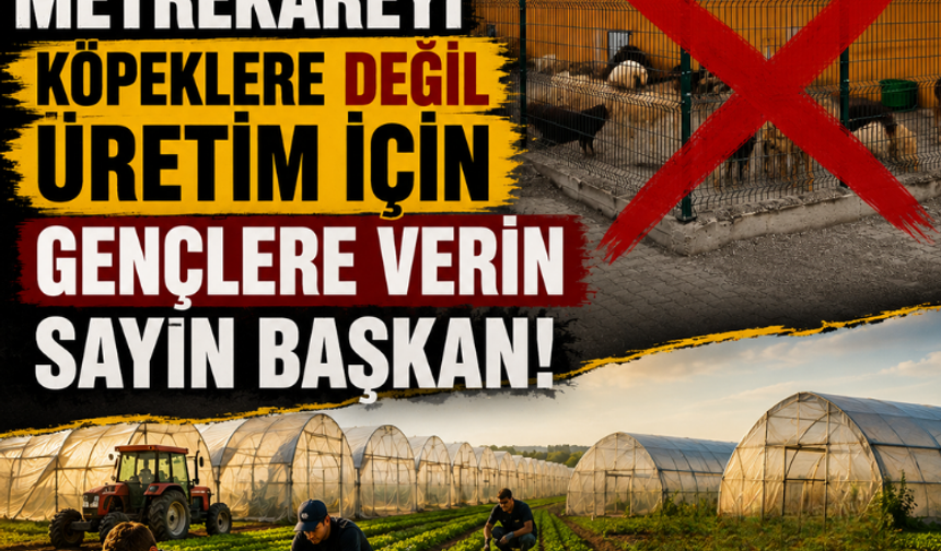 42 bin metrekareyi köpeklere değil üretim için gençlere verin sayın başkan!
