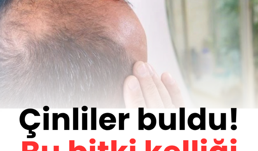 Çinliler buldu! Bu bitki kelliği bitirecek