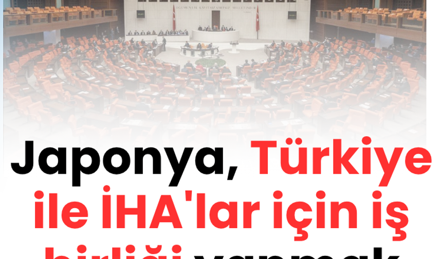 Japonya, Türkiye ile İHA'lar için iş birliği yapmak istiyor