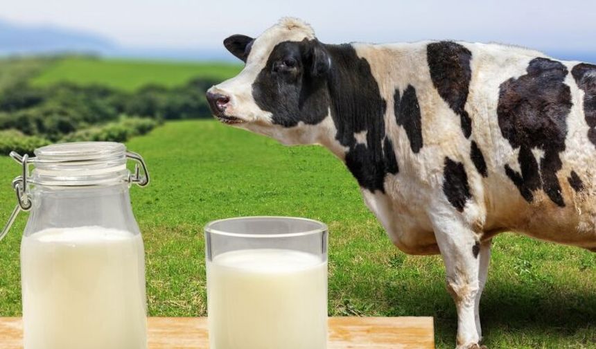 TÜİK: Nisan'da süt üretimi arttı