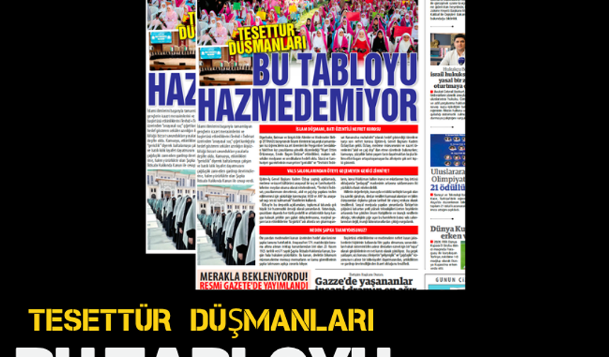 TESETTÜR DÜŞMANLARI  BU TABLOYU HAZMEDEMİYOR