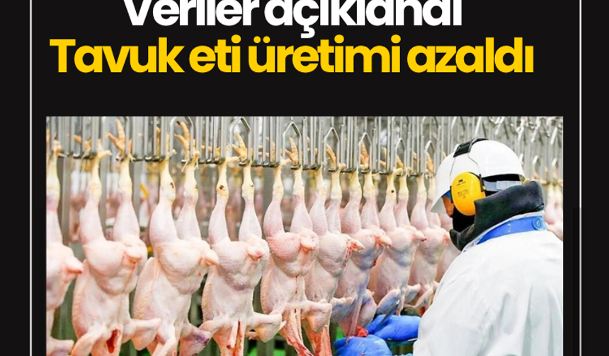 Veriler açıklandı: Tavuk eti üretimi azaldı