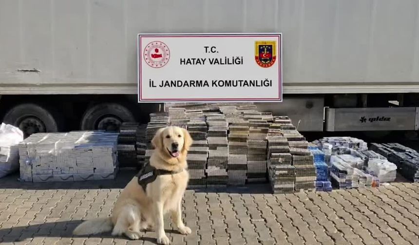 Bir TIR'da milyonlarca lira değerinde 30 bin paket kaçak sigara ele geçirildi