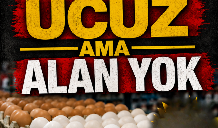 Yumurta ucuz ama alan yok