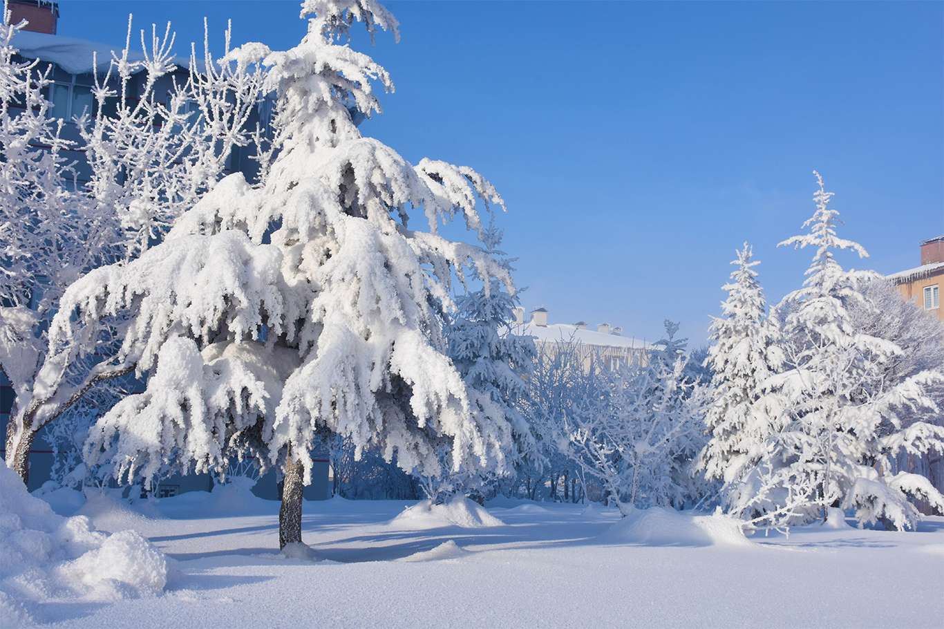Bitlis'te hava sıcaklığı eksi 20 dereceye düşünce kartpostallık görüntüler oluştu