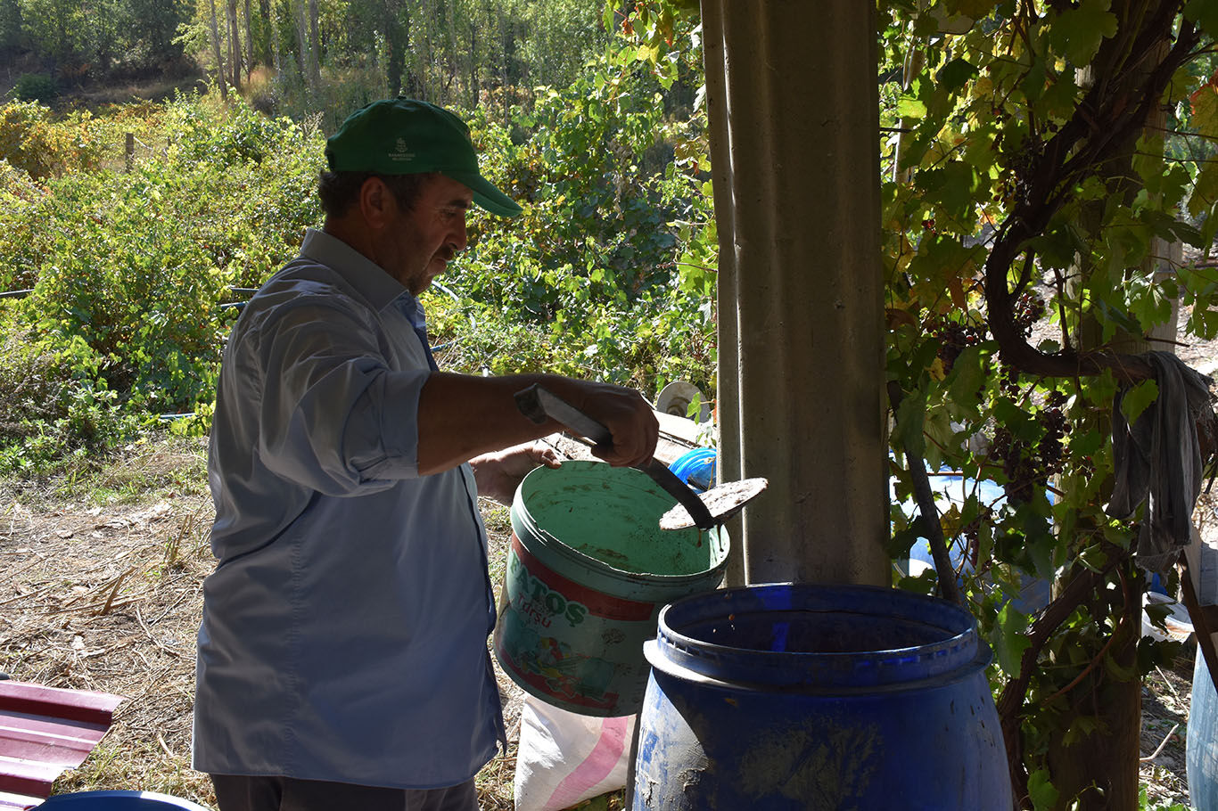 Bitlis'te imece usulüyle yapılan pekmez yoğun ilgi görüyor