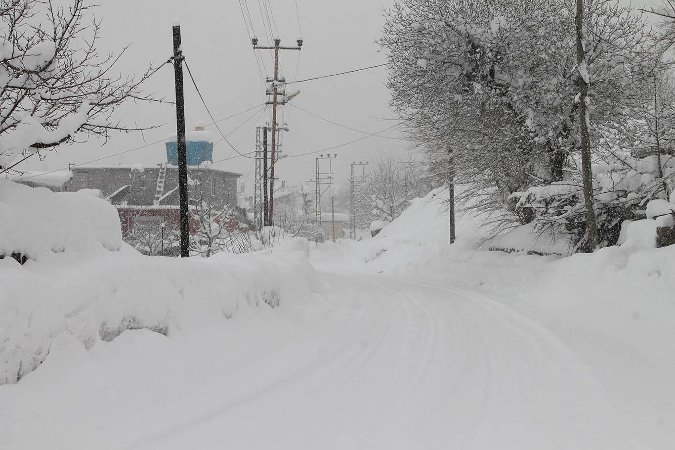 Yoğun kar yağışı ve tipi nedeniyle Bitlis’te adeta hayat durdu