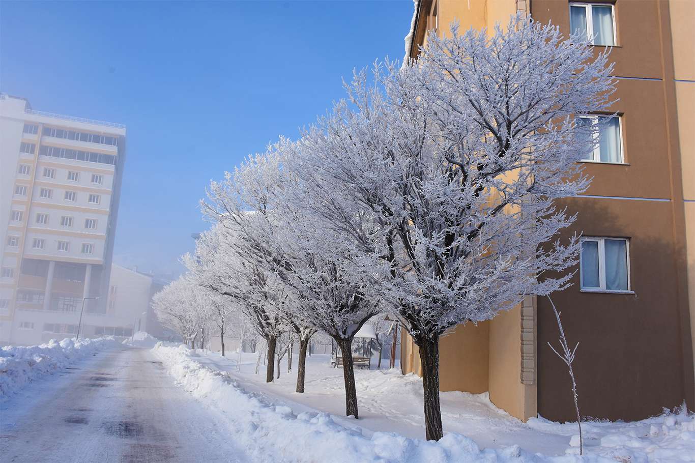 Bitlis'te hava sıcaklığı eksi 20 dereceye düşünce kartpostallık görüntüler oluştu