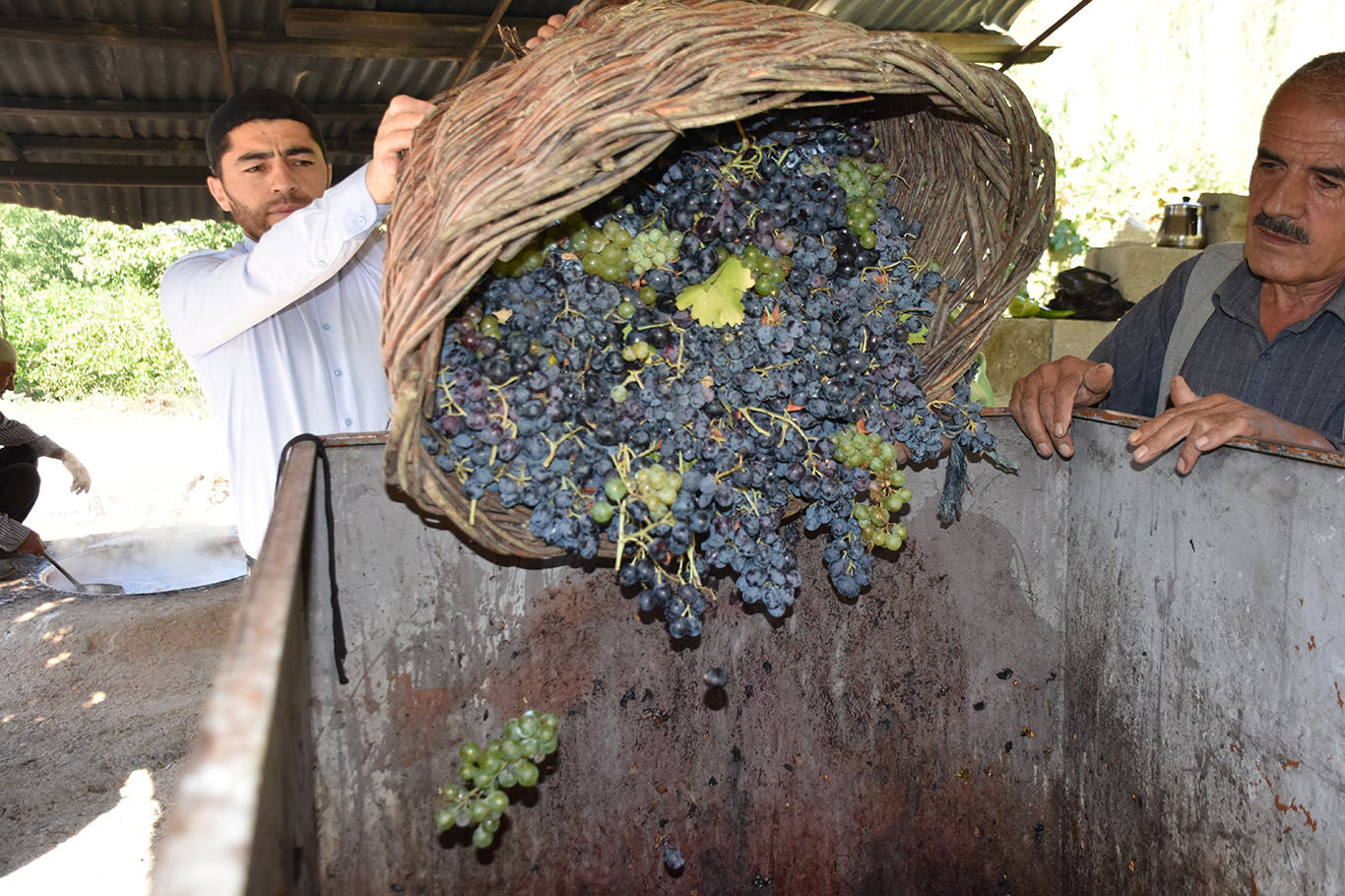 Bitlis'te imece usulüyle yapılan pekmez yoğun ilgi görüyor