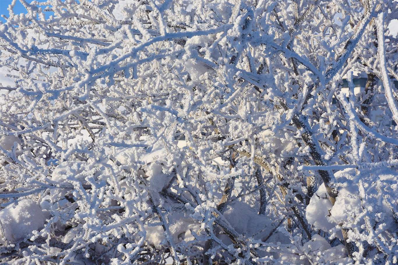 Bitlis'te hava sıcaklığı eksi 20 dereceye düşünce kartpostallık görüntüler oluştu