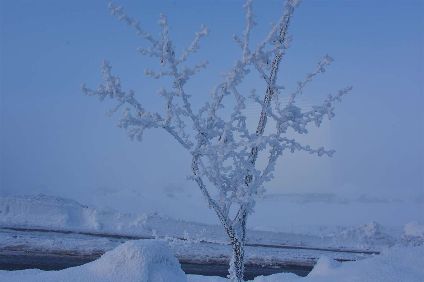 Bitlis'te hava sıcaklığı eksi 20 dereceye düşünce kartpostallık görüntüler oluştu