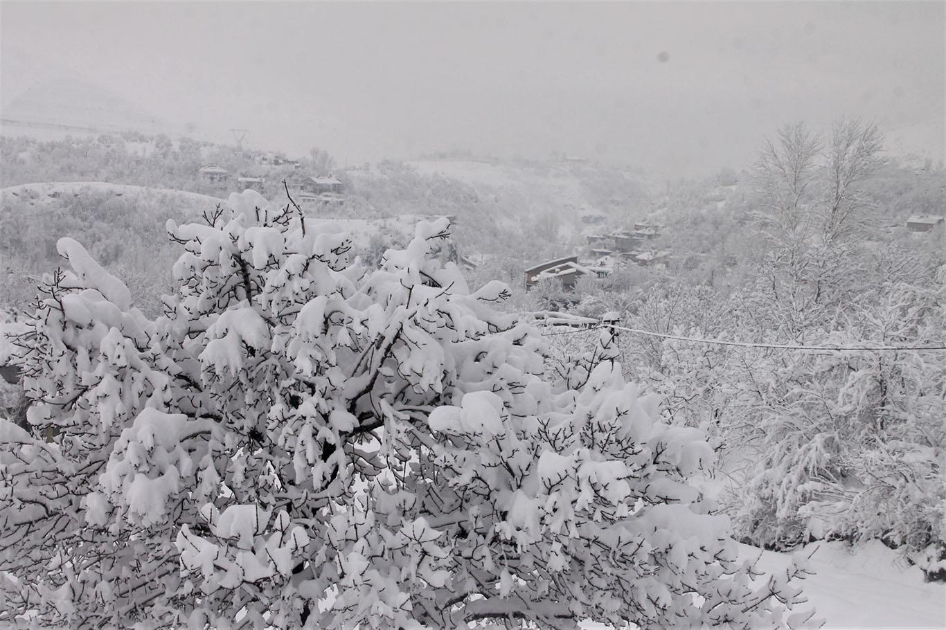 Bitlis’te kar yağışının ardından kartpostallık görüntüler oluştu
