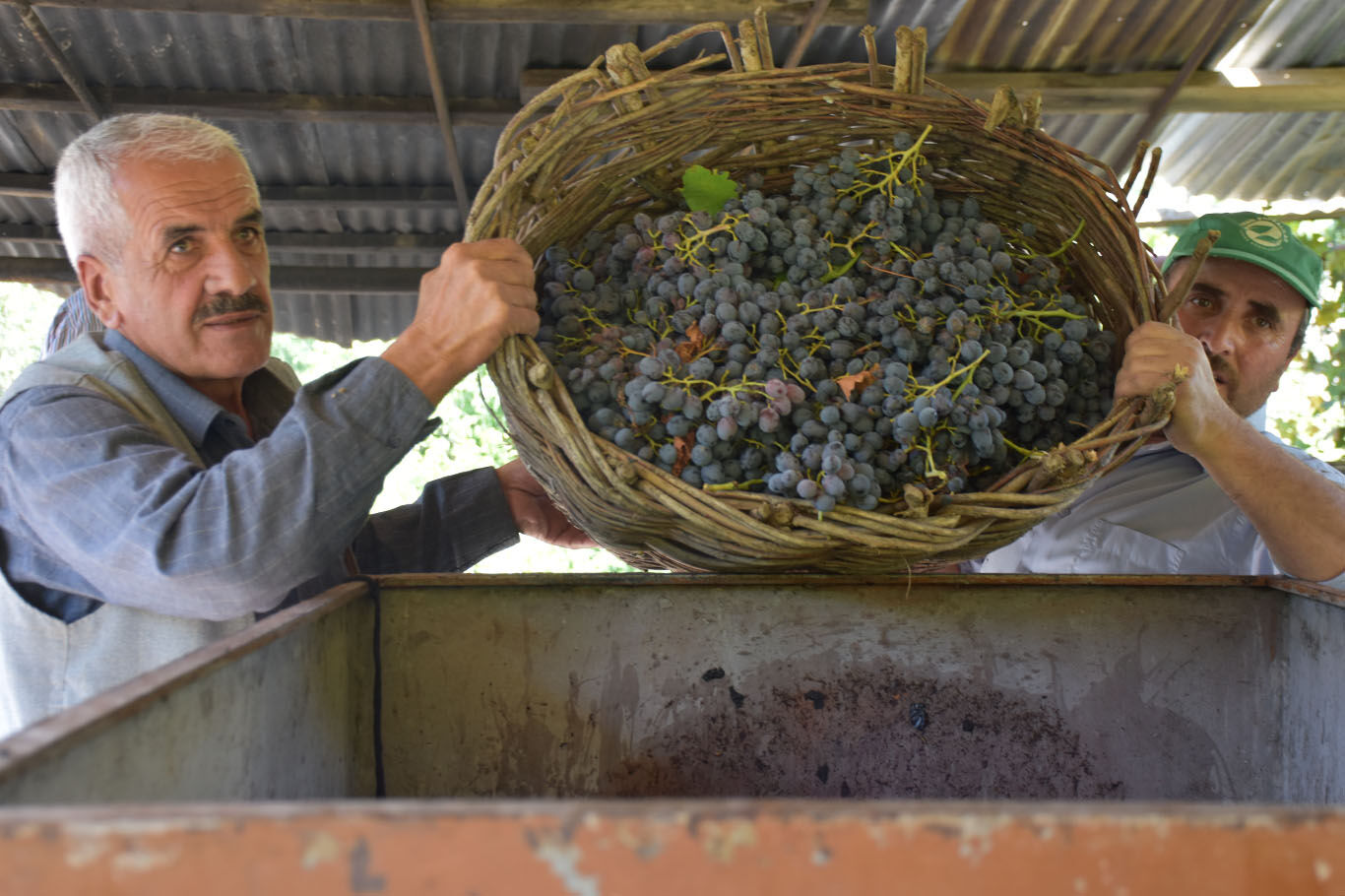Bitlis'te imece usulüyle yapılan pekmez yoğun ilgi görüyor