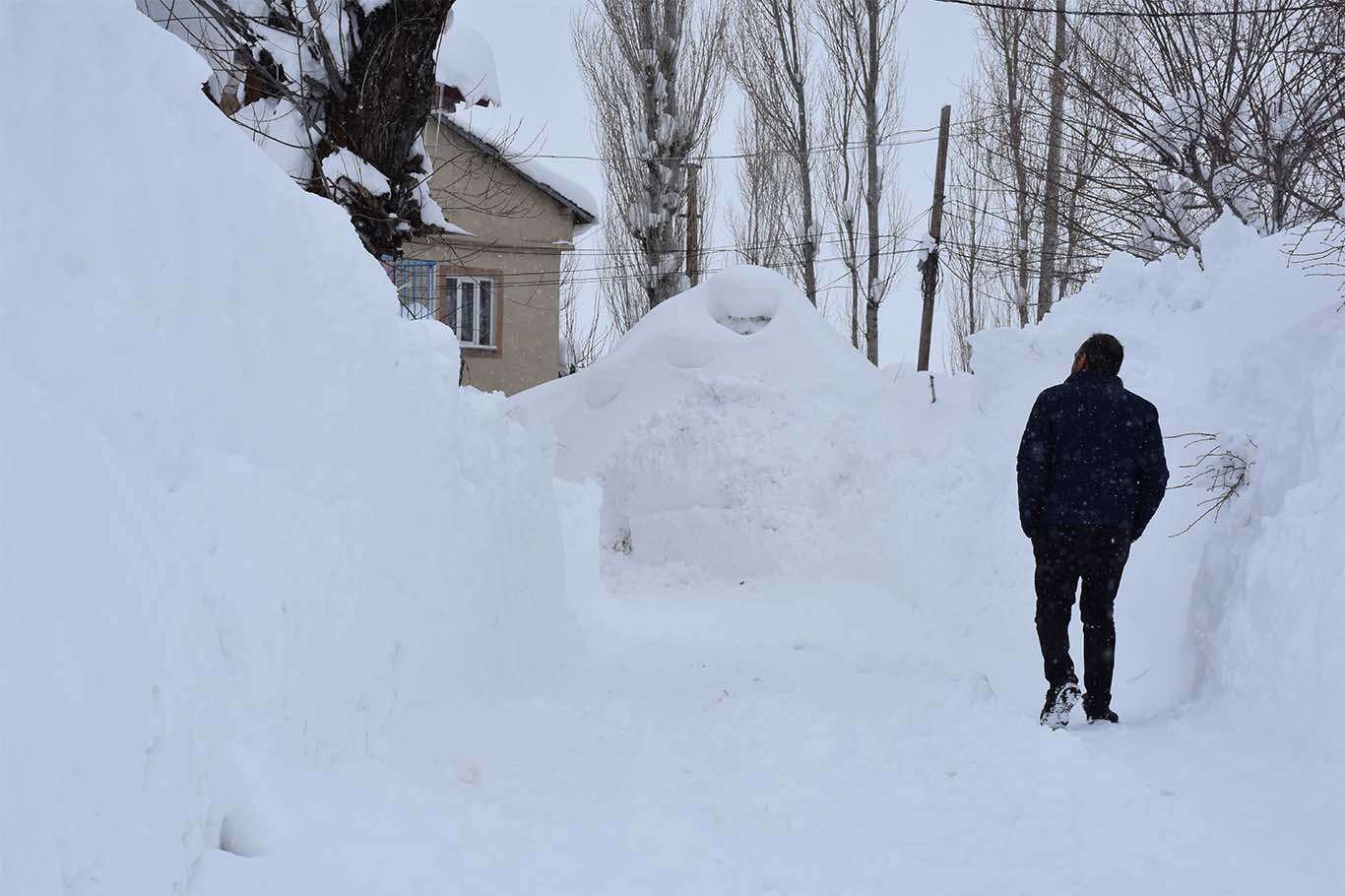 Bu görüntüler Sibirya'dan değil Bitlis'ten