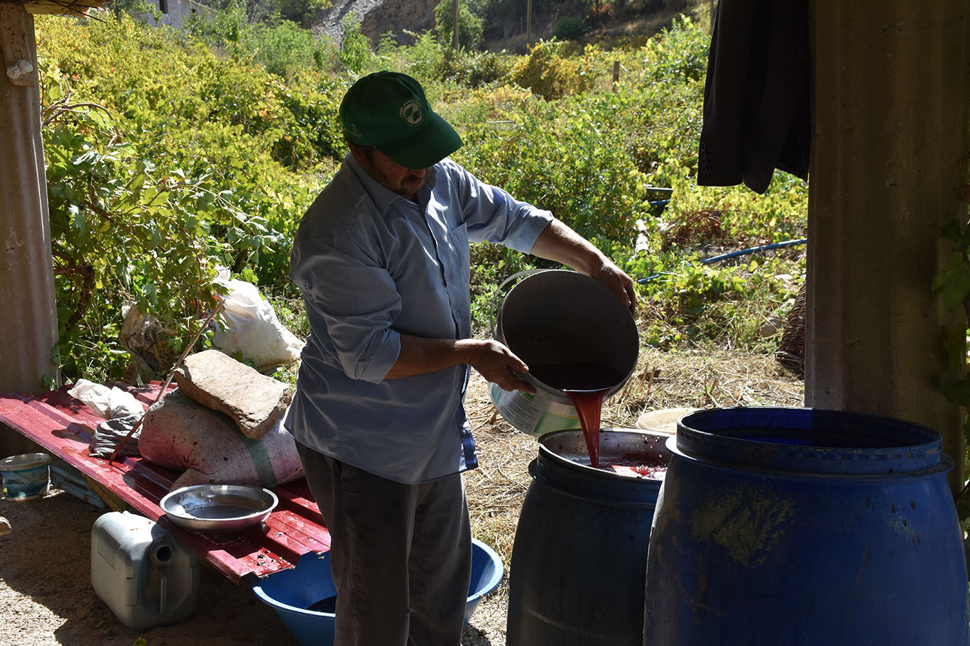 Bitlis'te imece usulüyle yapılan pekmez yoğun ilgi görüyor