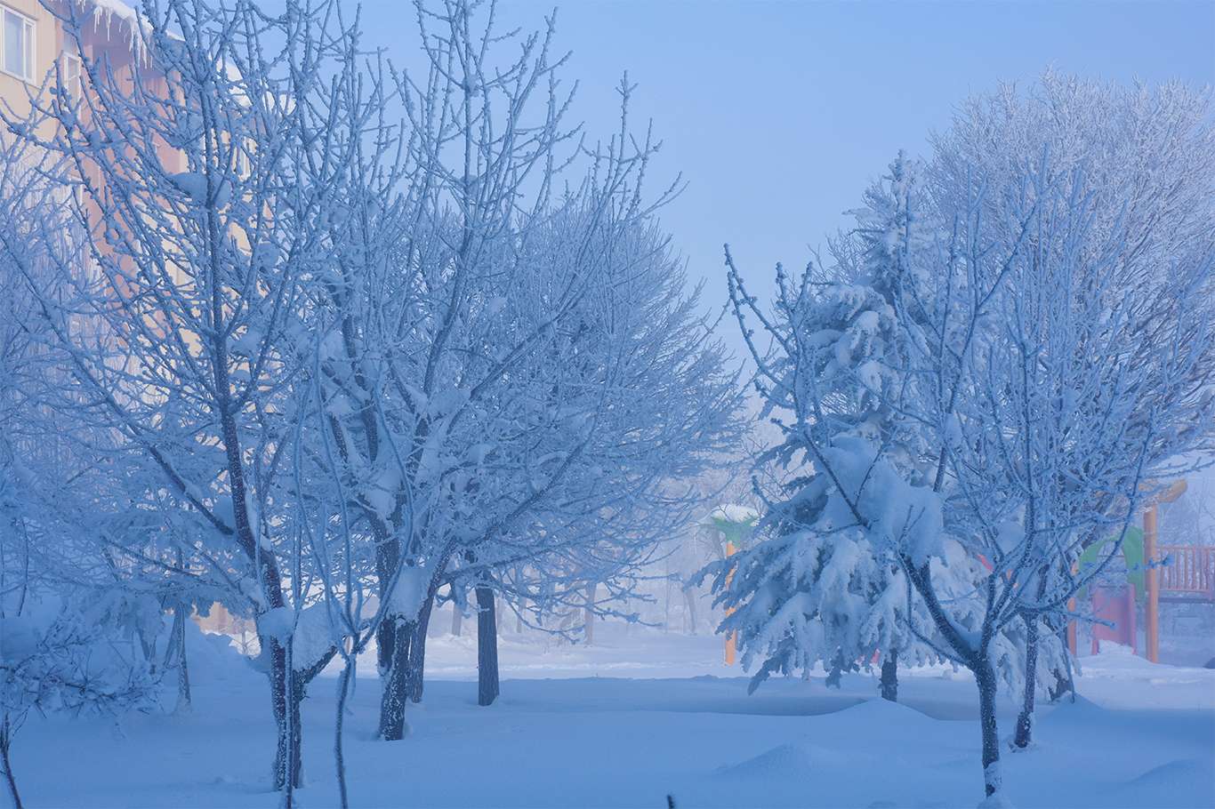 Bitlis'te hava sıcaklığı eksi 20 dereceye düşünce kartpostallık görüntüler oluştu