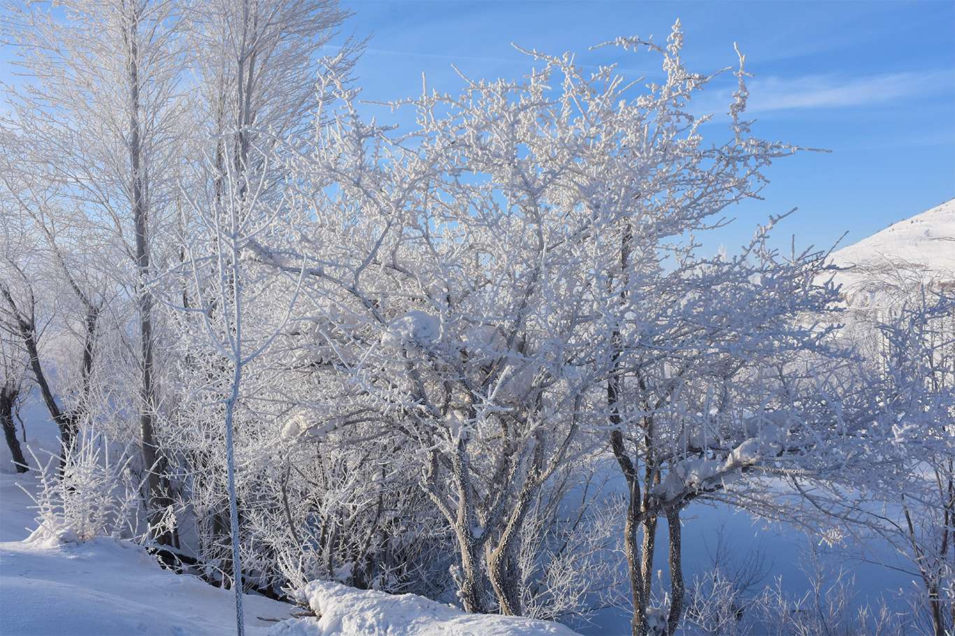 Bitlis'te hava sıcaklığı eksi 20 dereceye düşünce kartpostallık görüntüler oluştu