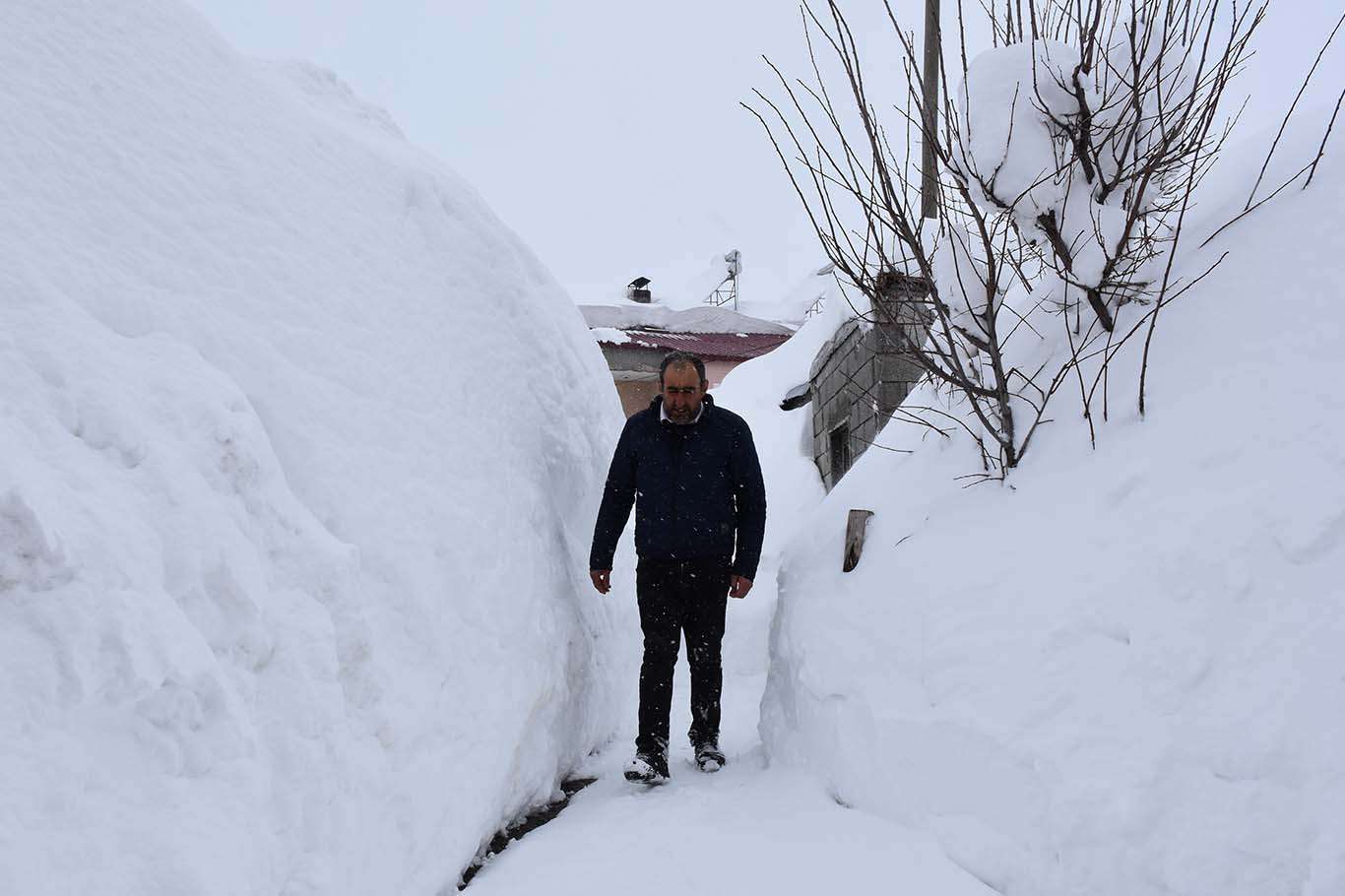 Bu görüntüler Sibirya'dan değil Bitlis'ten