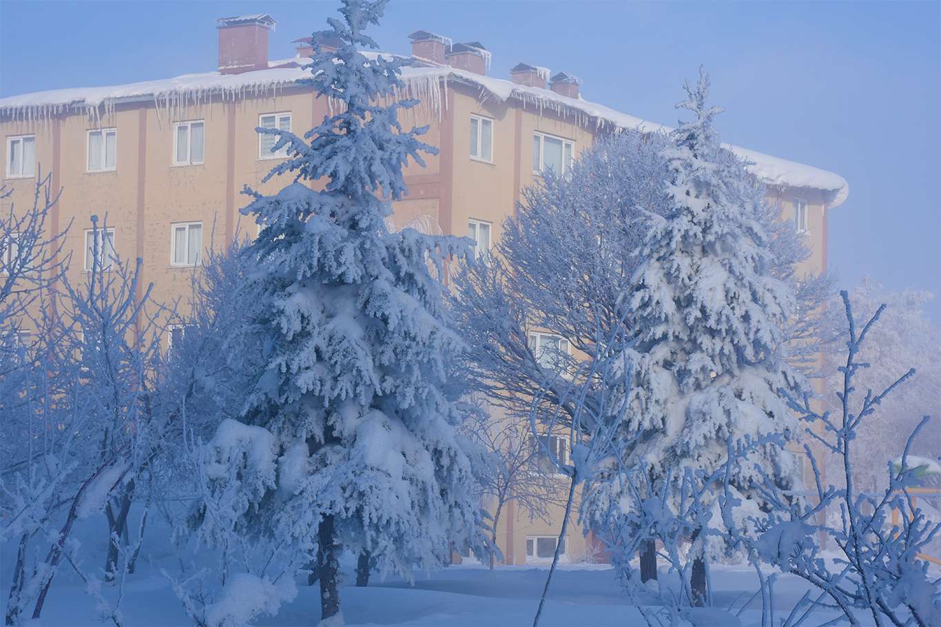 Bitlis'te hava sıcaklığı eksi 20 dereceye düşünce kartpostallık görüntüler oluştu