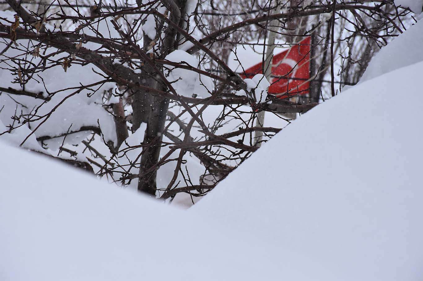 Bu görüntüler Sibirya'dan değil Bitlis'ten