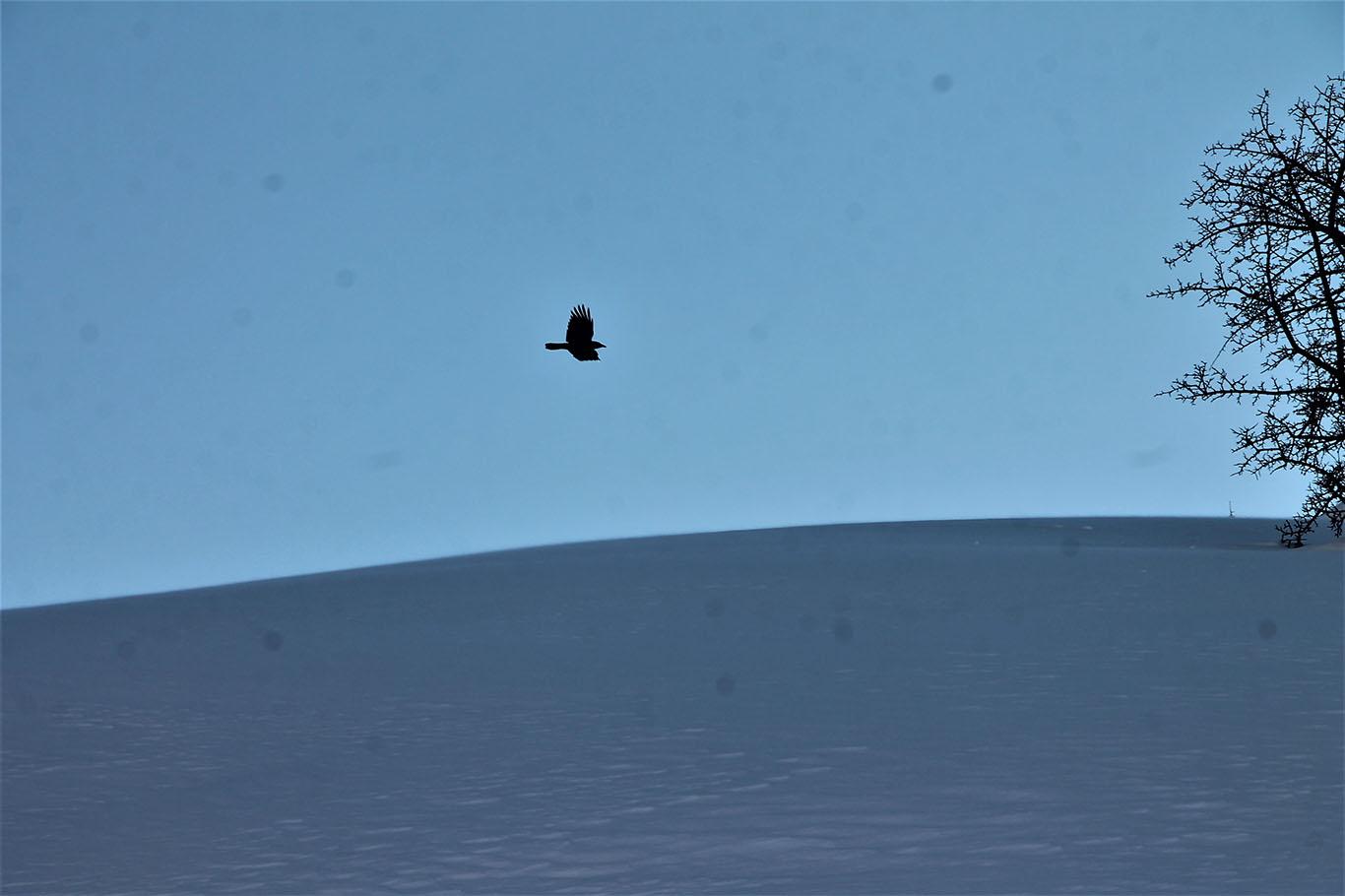 Bitlis’te kar yağışının ardından kartpostallık görüntüler oluştu